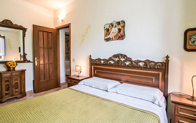 Sunflower - Photo 13