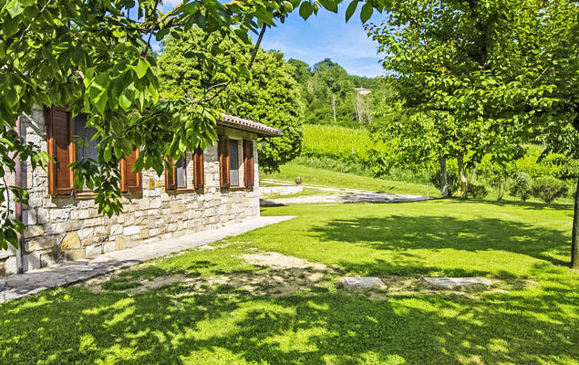 Sunflower - Photo 23