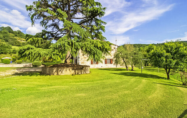 Sunflower - Photo 27