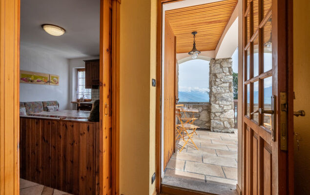 Hérisson - Photo 13