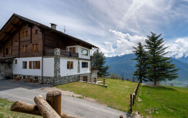 Hérisson - Photo 19