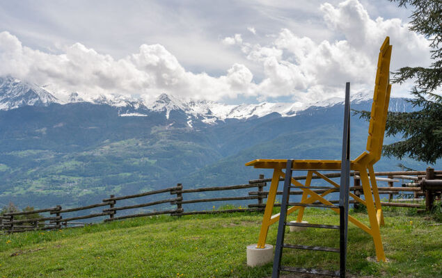 Hérisson - Photo 26