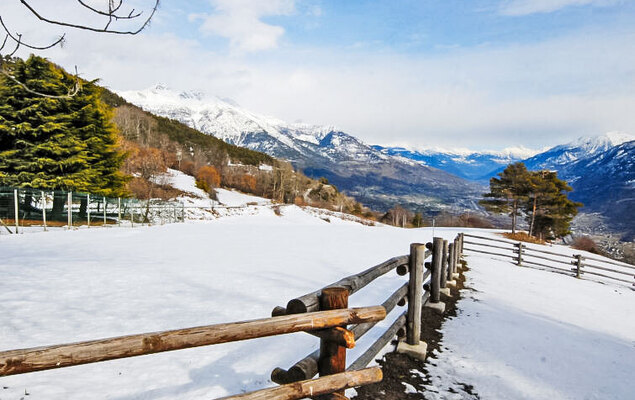 Hérisson - Photo 30