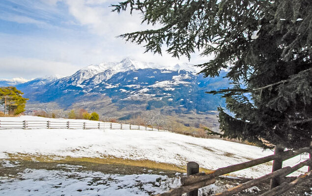 Hérisson - Photo 31