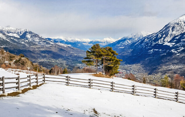 Hérisson - Photo 32