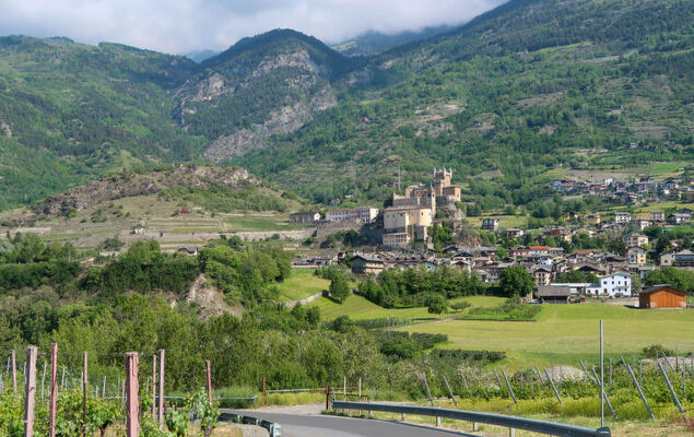 Hérisson - Photo 35